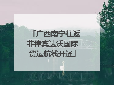 广西南宁往返菲律宾达沃国际货运航线开通