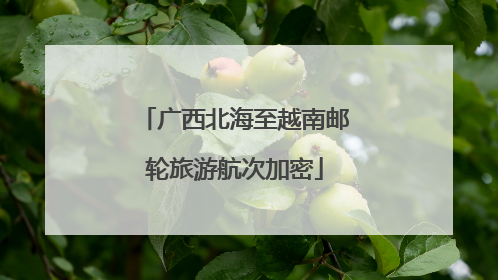 广西北海至越南邮轮旅游航次加密