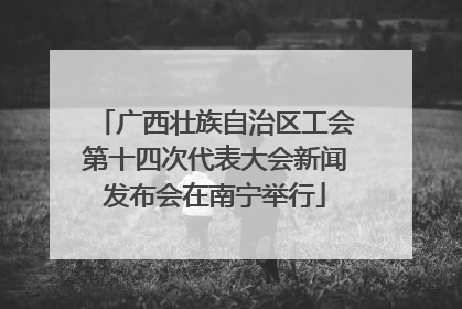 广西壮族自治区工会第十四次代表大会新闻发布会在南宁举行