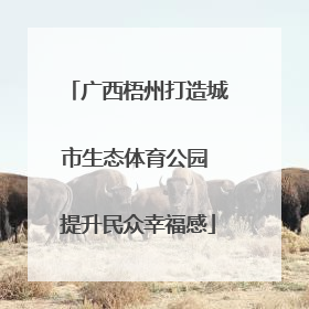 广西梧州打造城市生态体育公园 提升民众幸福感
