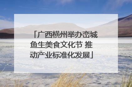 广西横州举办峦城鱼生美食文化节 推动产业标准化发展