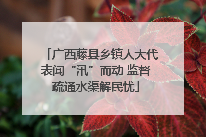 广西藤县乡镇人大代表闻“汛”而动 监督疏通水渠解民忧