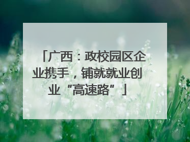 广西：政校园区企业携手，铺就就业创业“高速路”