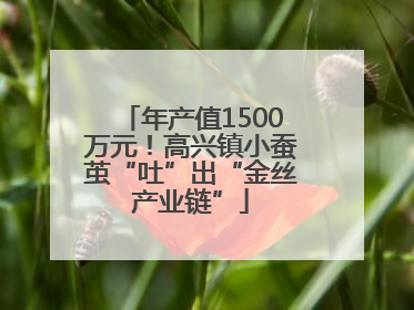 年产值1500万元！高兴镇小蚕茧“吐”出“金丝产业链”