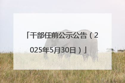 干部任前公示公告（2025年5月30日）