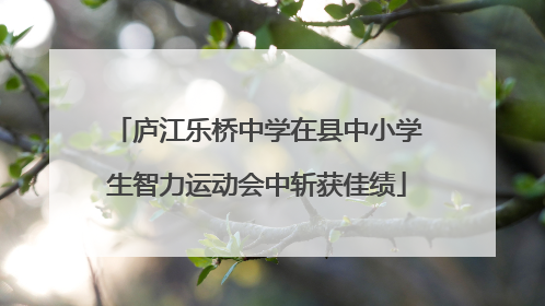 庐江乐桥中学在县中小学生智力运动会中斩获佳绩