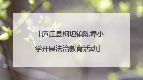 庐江县柯坦镇陈埠小学开展法治教育活动