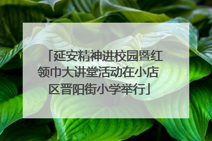 延安精神进校园暨红领巾大讲堂活动在小店区晋阳街小学举行