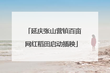 延庆张山营镇百亩网红稻田启动插秧