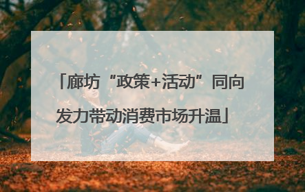 廊坊“政策+活动”同向发力带动消费市场升温