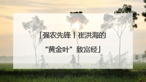 强农先锋丨崔洪海的“黄金叶”致富经
