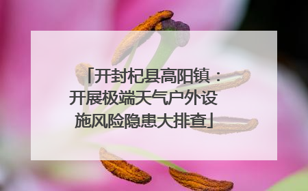 开封杞县高阳镇：开展极端天气户外设施风险隐患大排查