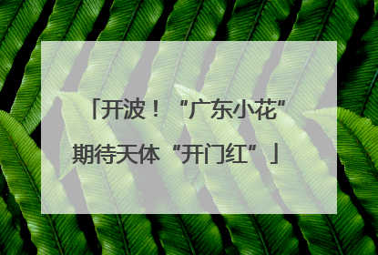 开波！“广东小花”期待天体“开门红”