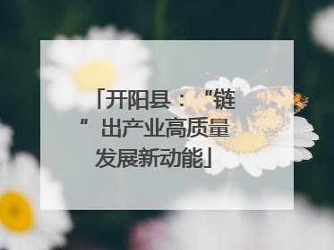开阳县：“链”出产业高质量发展新动能