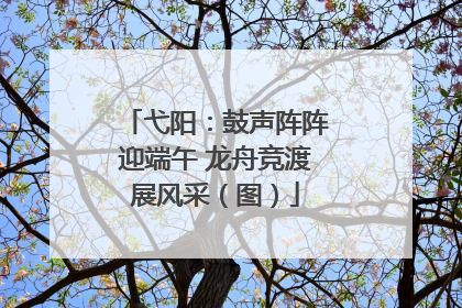弋阳：鼓声阵阵迎端午 龙舟竞渡展风采（图）