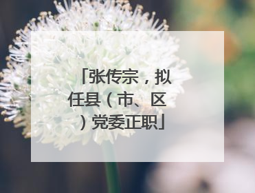 张传宗，拟任县（市、区）党委正职