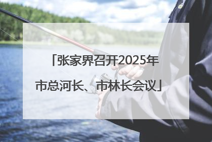 张家界召开2025年市总河长、市林长会议