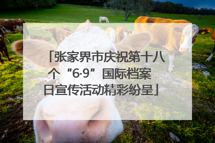 张家界市庆祝第十八个“6·9”国际档案日宣传活动精彩纷呈