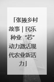 张掖乡村故事｜民乐种业“芯”动力激活现代农业新活力