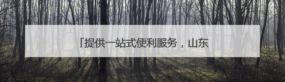 提供一站式便利服务，山东启动中小企业出海专项行动