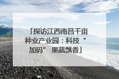 探访江西南昌千亩种业产业园：科技“加码” 果蔬飘香