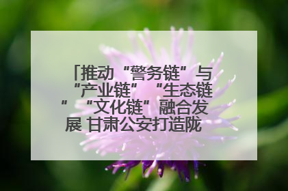 推动“警务链”与“产业链”“生态链”“文化链”融合发展 甘肃公安打造陇原旅游警务品牌