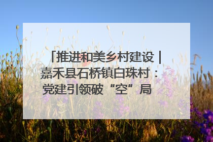 推进和美乡村建设｜嘉禾县石桥镇白珠村：党建引领破“空”局 乡贤聚力绘就新图景