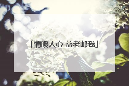 情暖人心 益老邮我