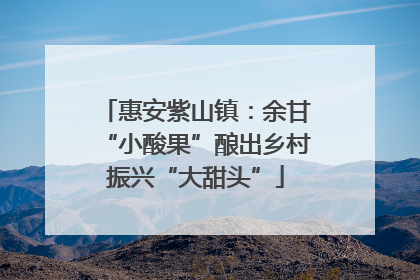 惠安紫山镇：余甘“小酸果”酿出乡村振兴“大甜头”