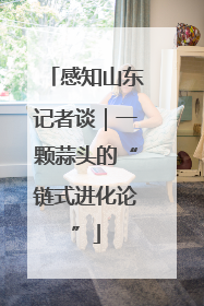 感知山东记者谈｜一颗蒜头的“链式进化论”
