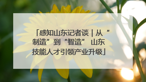 感知山东记者谈｜从“制造”到“智造” 山东技能人才引领产业升级