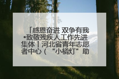感恩奋进 双争有我•致敬残疾人工作先进集体丨河北省青年志愿者中心（“小橘灯”助残接力计划实施团队）：用温暖陪伴，守护特殊孩子成长
