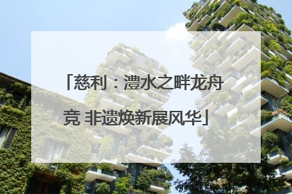 慈利：澧水之畔龙舟竞 非遗焕新展风华