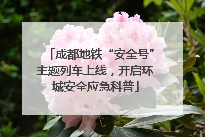 成都地铁“安全号”主题列车上线，开启环城安全应急科普