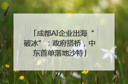 成都AI企业出海“破冰”：政府搭桥，中东首单落地沙特
