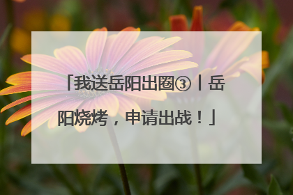 我送岳阳出圈③丨岳阳烧烤，申请出战！