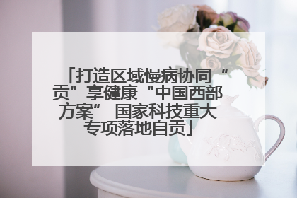 打造区域慢病协同“贡”享健康“中国西部方案” 国家科技重大专项落地自贡