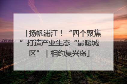 扬帆浦江！“四个聚焦”打造产业生态“最暖城区”｜相约复兴岛