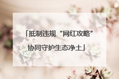 抵制违规“网红攻略” 协同守护生态净土