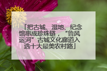 把古城、湿地、纪念馆串成珍珠链，“鲁风运河”古城文化廊道入选十大最美农村路