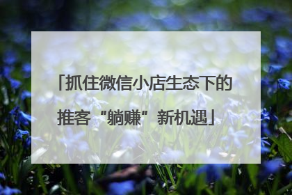 抓住微信小店生态下的推客“躺赚”新机遇