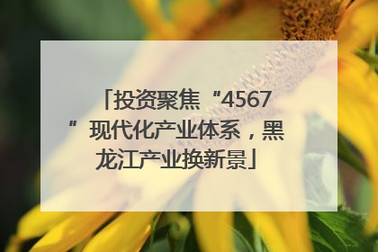 投资聚焦“4567”现代化产业体系，黑龙江产业换新景