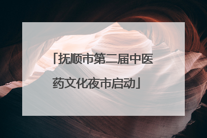 抚顺市第二届中医药文化夜市启动