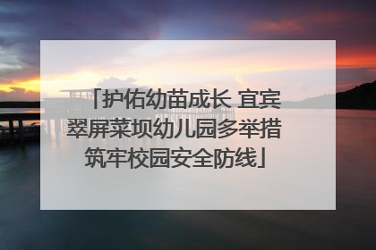 护佑幼苗成长 宜宾翠屏菜坝幼儿园多举措筑牢校园安全防线