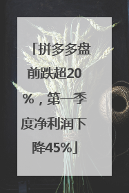 拼多多盘前跌超20%，第一季度净利润下降45%