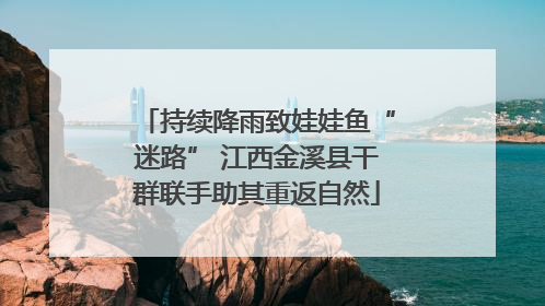 持续降雨致娃娃鱼“迷路” 江西金溪县干群联手助其重返自然