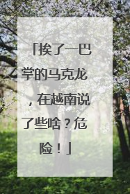 挨了一巴掌的马克龙，在越南说了些啥？危险！
