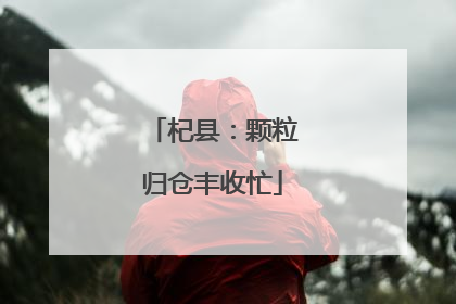 杞县：颗粒归仓丰收忙