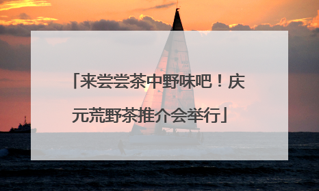 来尝尝茶中野味吧！庆元荒野茶推介会举行