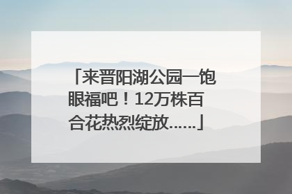 来晋阳湖公园一饱眼福吧！12万株百合花热烈绽放……